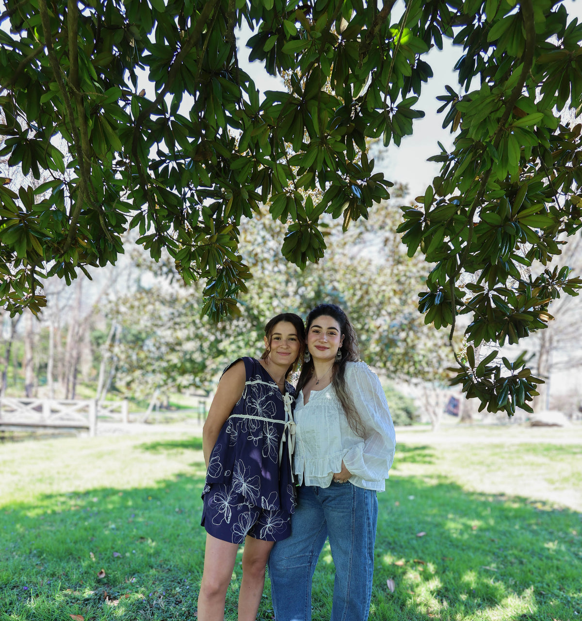 Among the Magnolia Trees