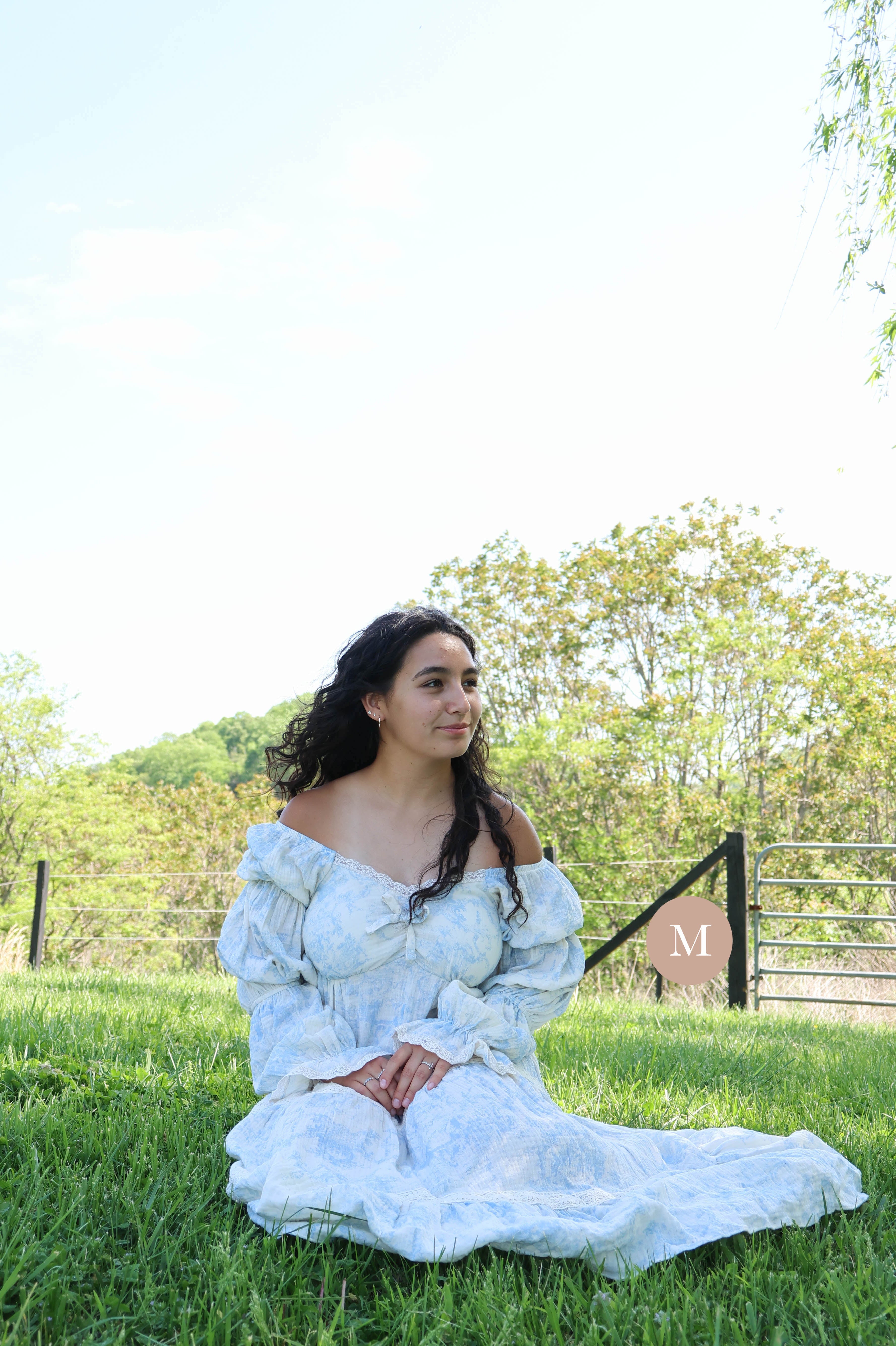 Bluebell Charm Dress